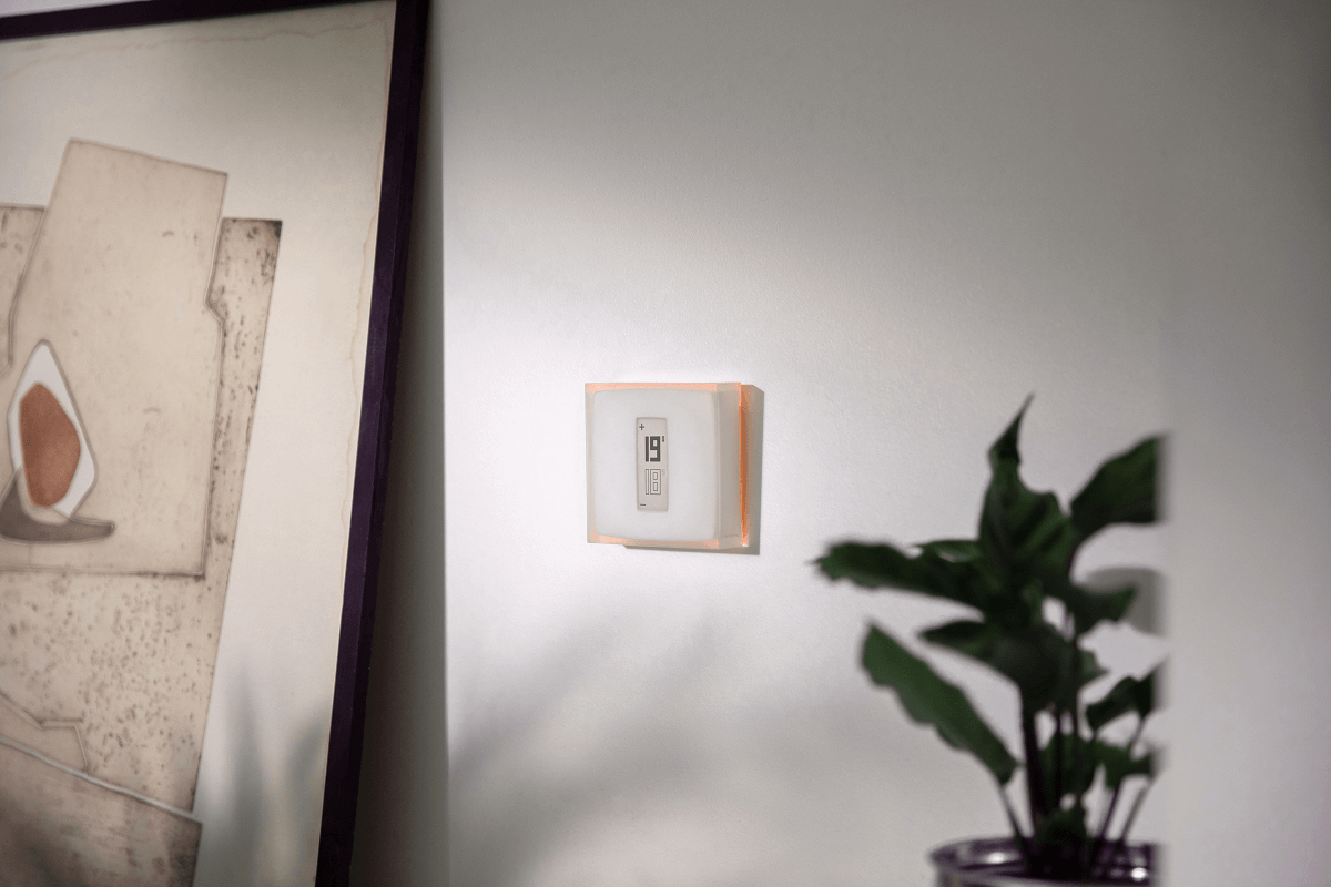 electromarket_netatmo_omajin_crean_30491_12231741.png (1200×800)